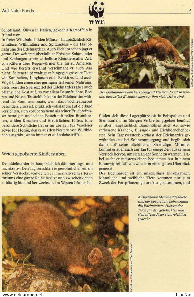 Dokumentation 1992 Set 128 EIRE 798/1 **, 4MC+ FDC 20€ WWF Nager Edel-Marder Naturschutz fauna pine marten of wild-life