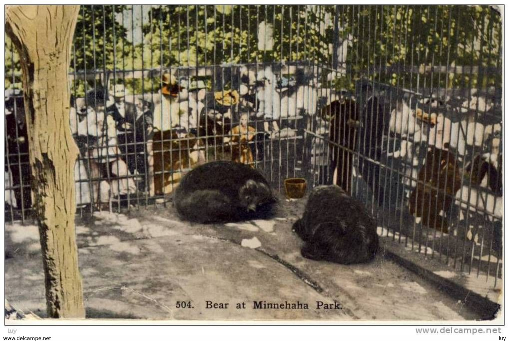 Minnehaha Park, Minnesota, 1910 - BEAR ( Bär, Our's,  Draag, Orso) NATIONAL PARK - Minneapolis