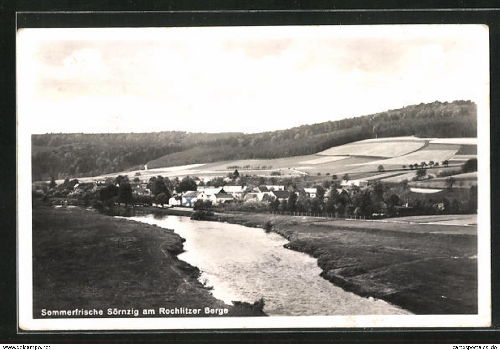 AK Sörnzig, Partie Am Fluss, Blick Auf Den Ort Am Rochlitzer Berg - Rochlitz