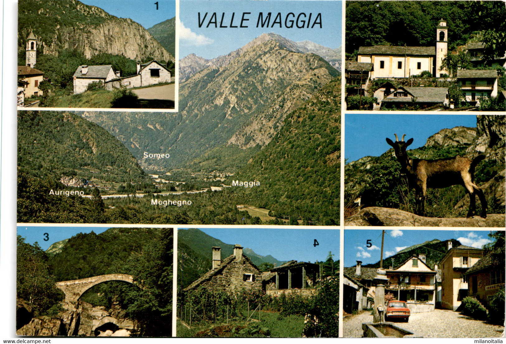 Valle Maggia - 7 Bilder (1215) * 23. 8. 1983 - Maggia