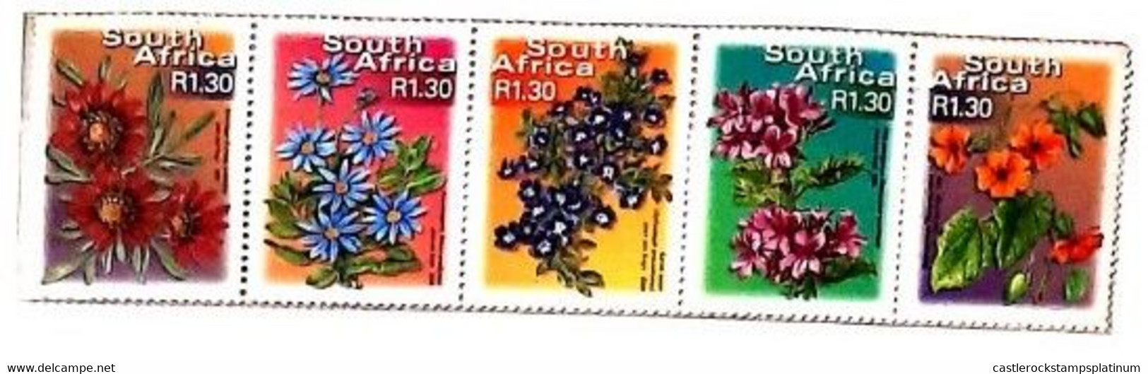 A) 2000, SOUTH AFRICA, FLOWERS, GAZANIA, BLUE DAISY, KAROO VIOLET, TREE GERANIUM, BLACK-EYED SUSANA, STIP OF 5, MULTICOL - Brieven En Documenten