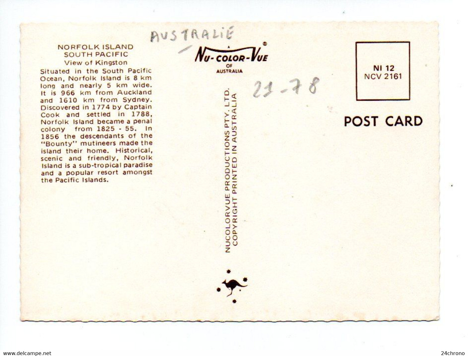 Australie: Norfolk Island, South Pacific, View Of Kingston, Vaches (21-78) - Other & Unclassified