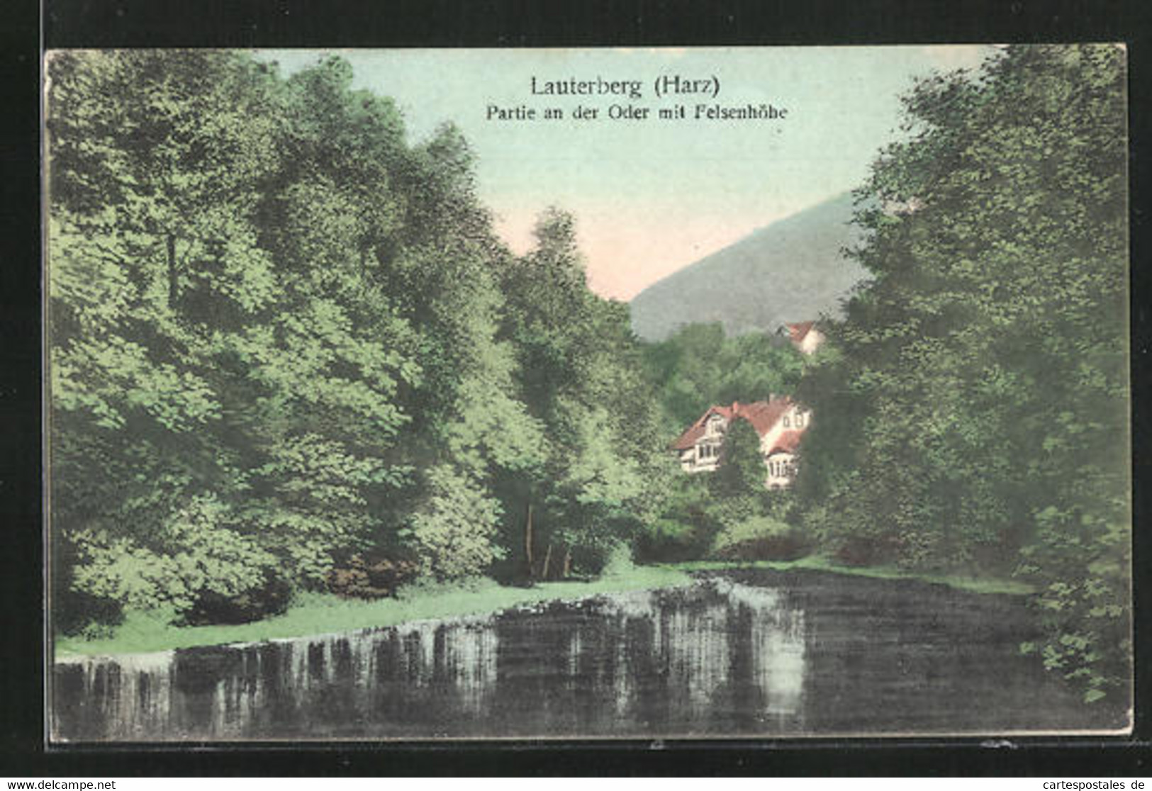 AK Lauterberg /Harz, Partie An Der Oder Mit Felsenhöhe - Bad Lauterberg