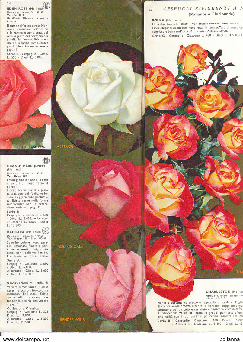 B2096 - Catalogo LISTINO ILLUSTRATO 1964 FLORICOLTURA VITTORIO BARNI-PISTOIA /ROSE/FIORI/FLOWERS - Garten