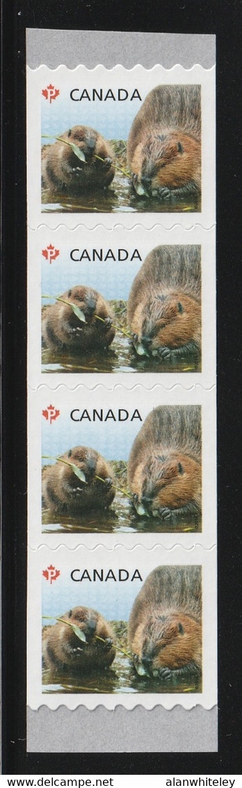 CANADA 2014 Definitives / Young Wildlife / Beaver S/ADH: Strip Of 4 Stamps UM/MNH - Markenrollen