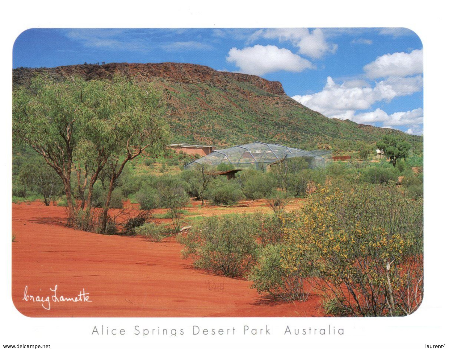 (QQ 46) Australia - NT  (17 X 12 Cm) Alice Springs - Alice Springs