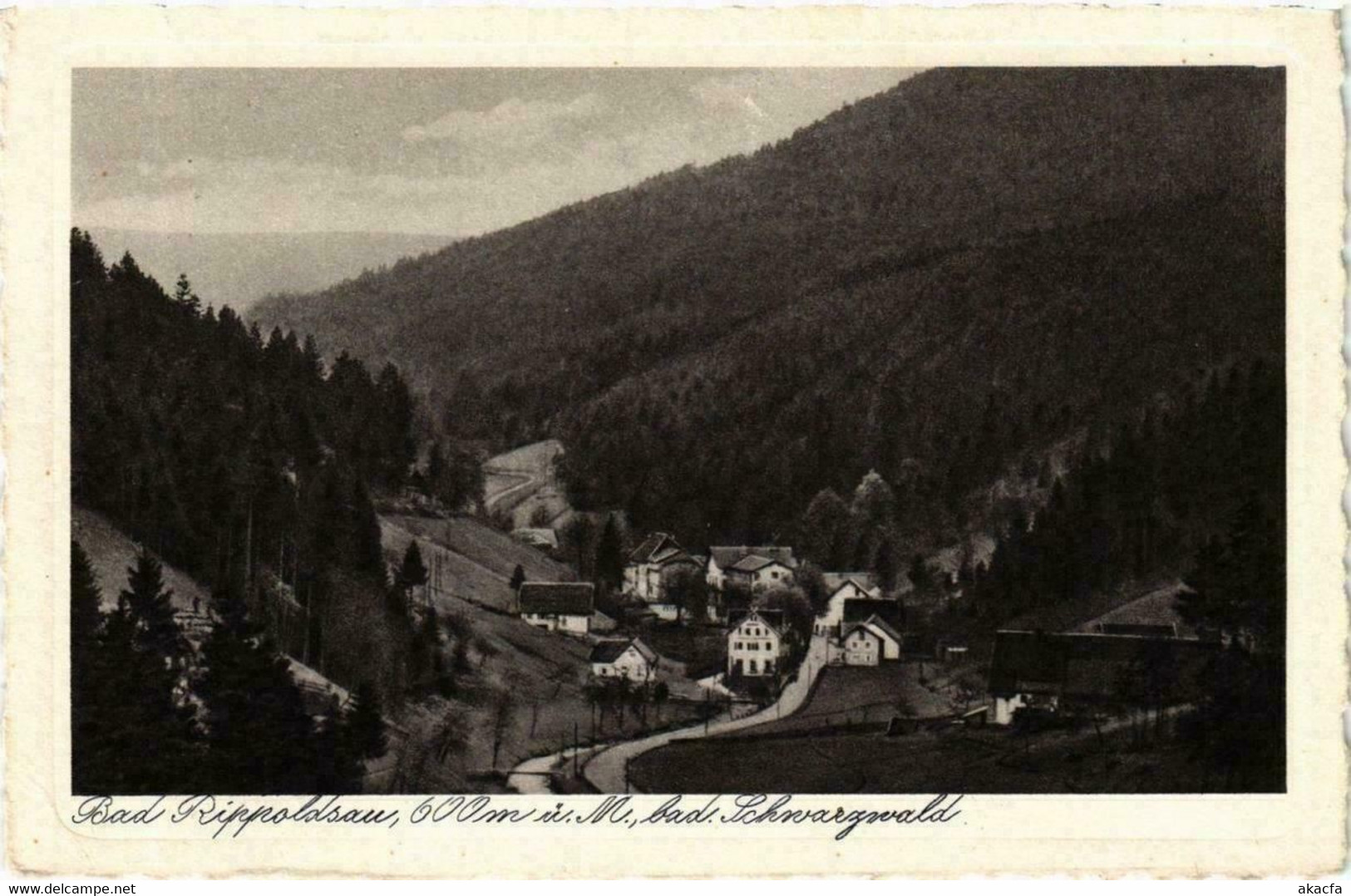 CPA AK Bad Rippoldsau GERMANY (738796) - Bad Rippoldsau - Schapbach