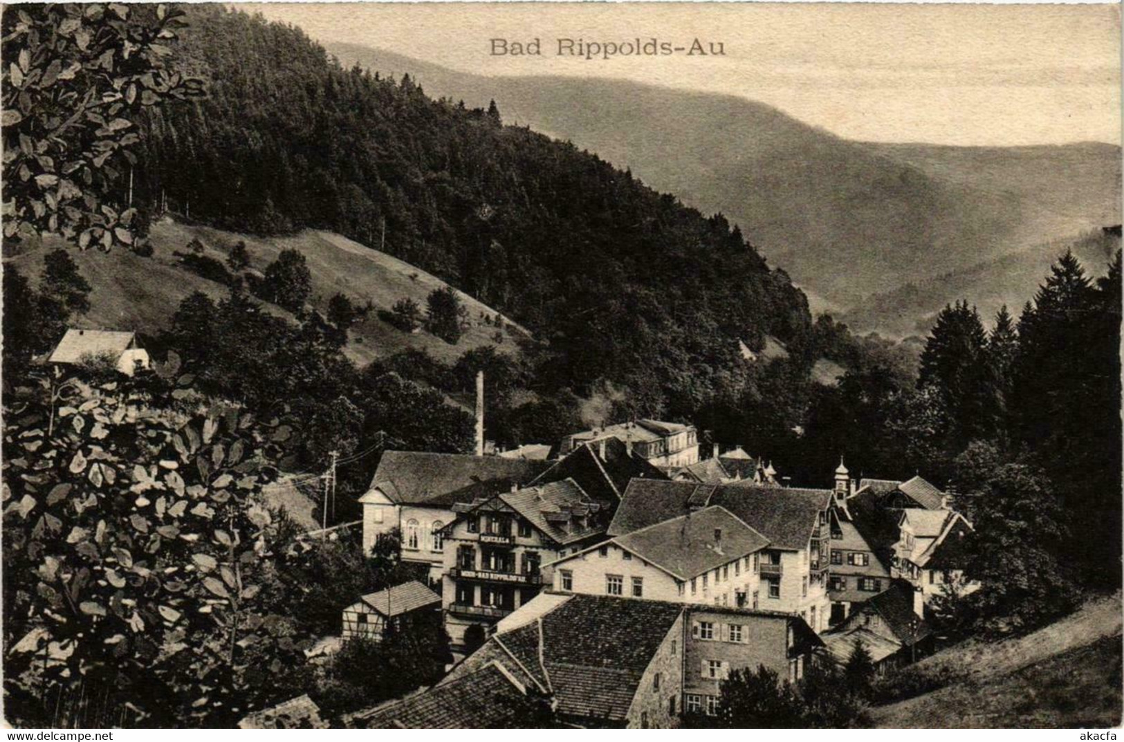 CPA AK Bad Rippolds-Au GERMANY (738858) - Bad Rippoldsau - Schapbach