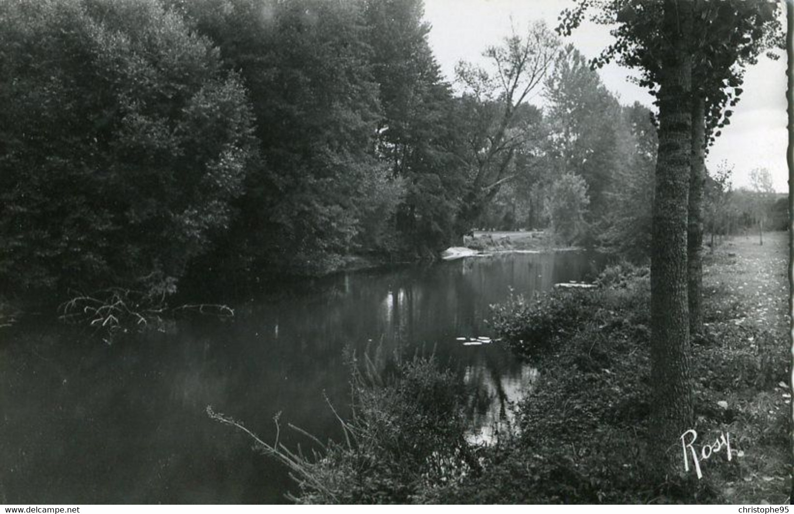 49 .n° 23606 . Montfaucon Sur Moine . Paysage Sur La Moine . Cpsm . - Montfaucon