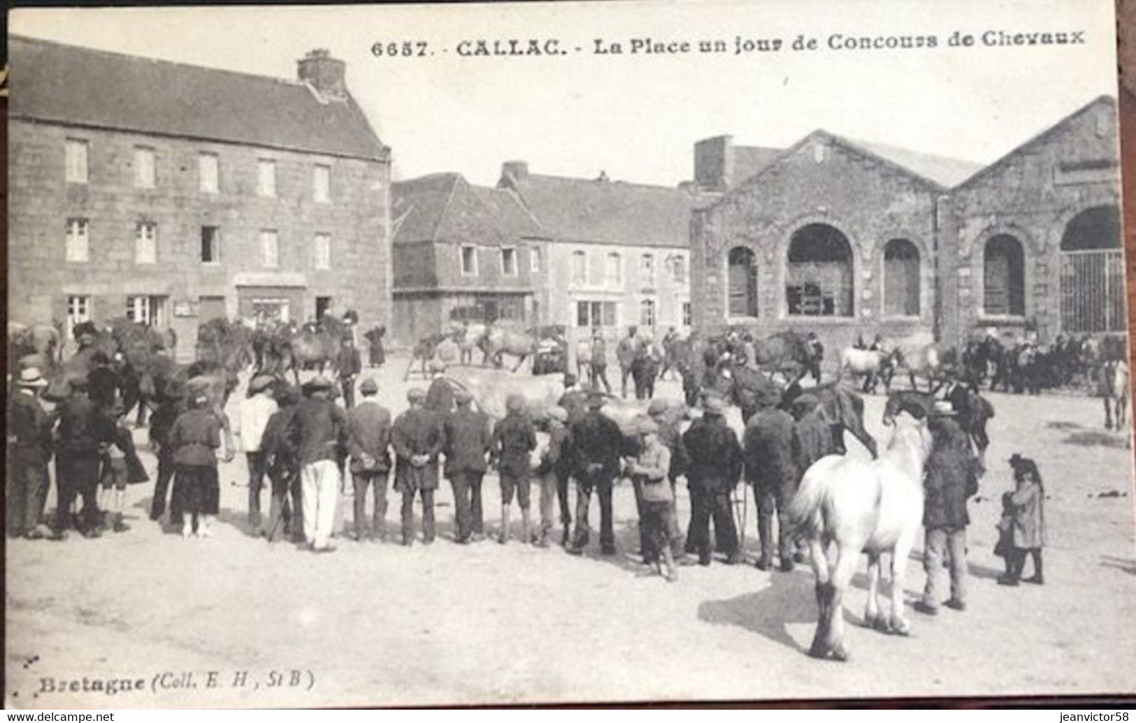 6657 Gallac  La Place Un Jour De  Concours De Chevaux Bretagne Col E.H St Brieuc - Callac