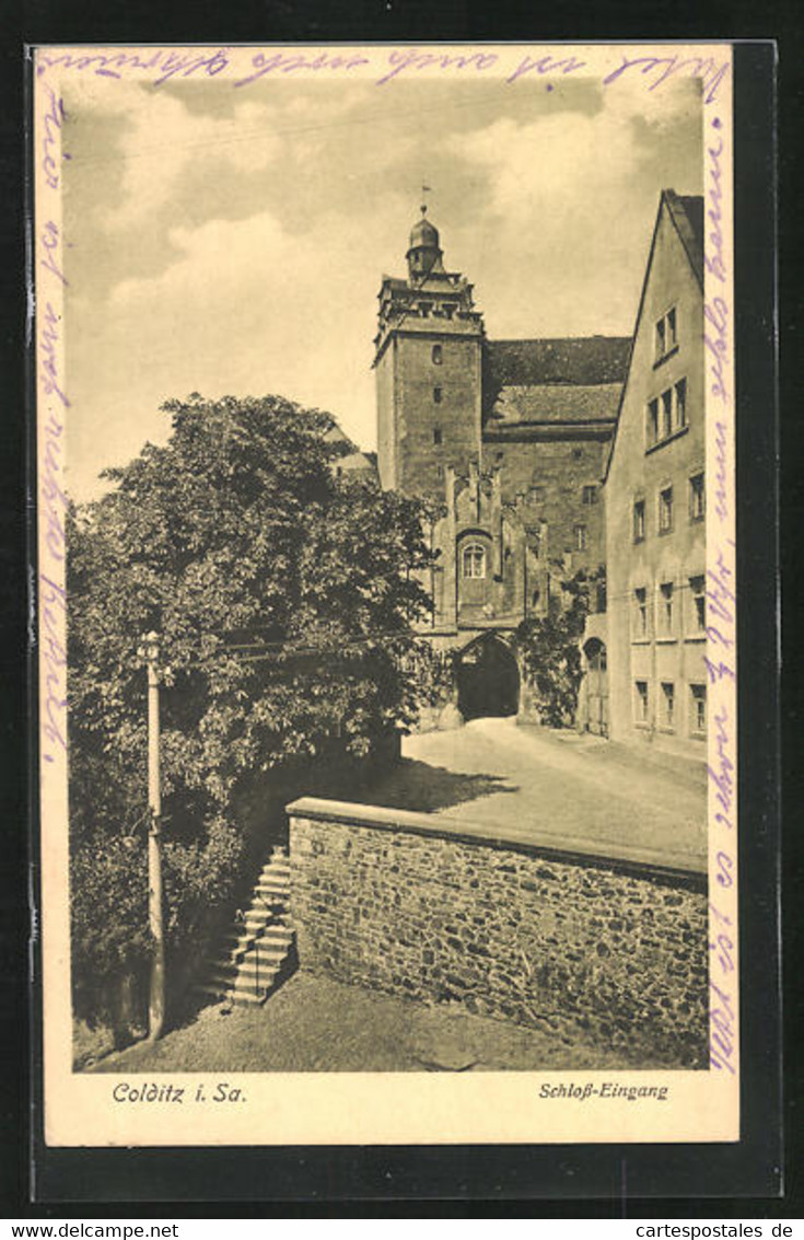 AK Colditz I. Sa., Schloss-Eingang - Colditz