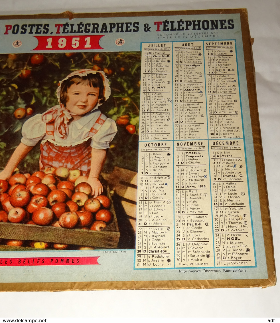 1951 CALENDRIER ALMANACH DES PTT, LES BELLES POMMES, OBERTHUR, ARDENNES 08 - Grossformat : 1941-60