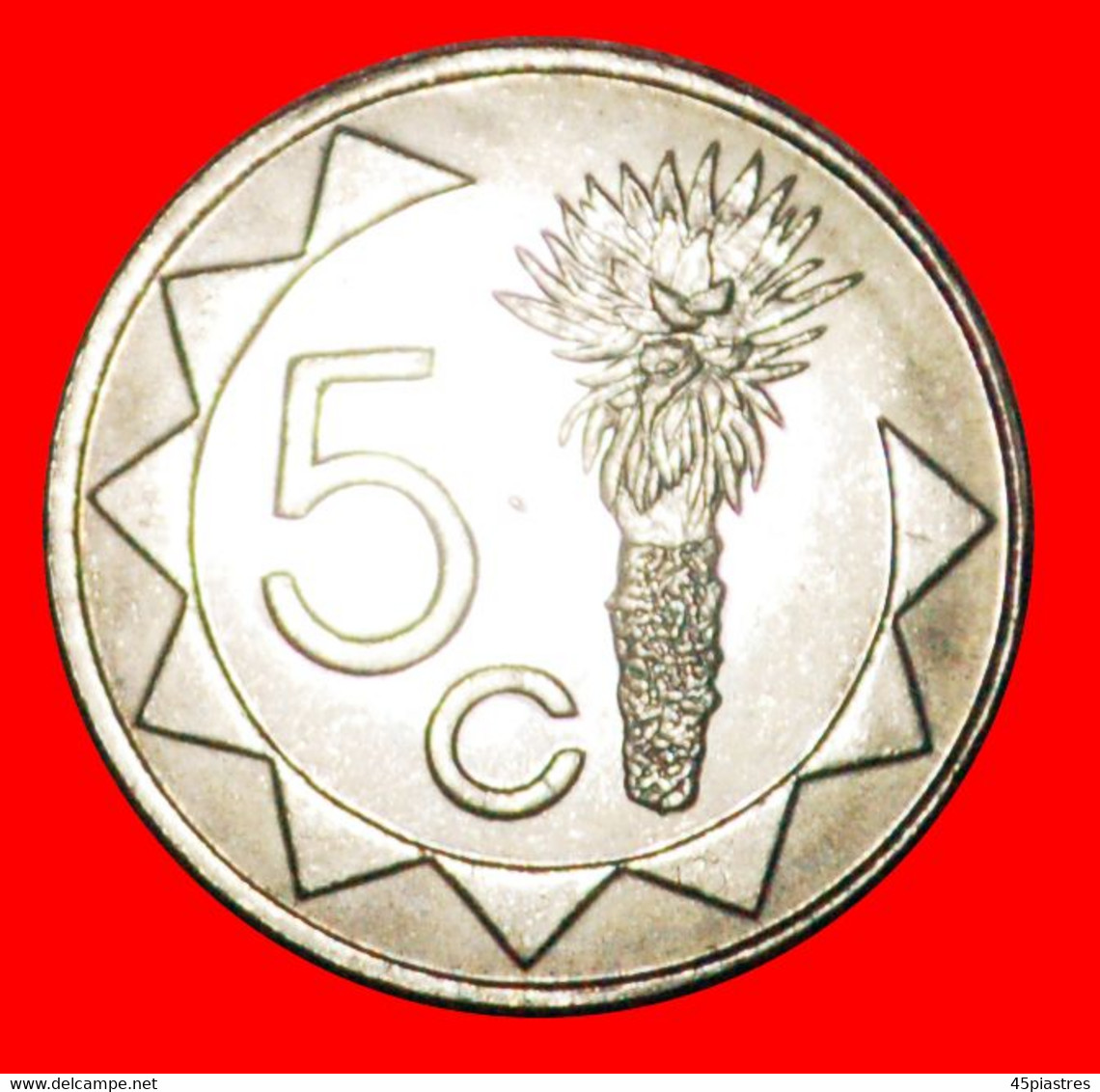 • SOUTH AFRICA (1993-2015): NAMIBIA ★ 5 CENTS 2002 MINT LUSTER! LOW START ★ NO RESERVE! - Namibia