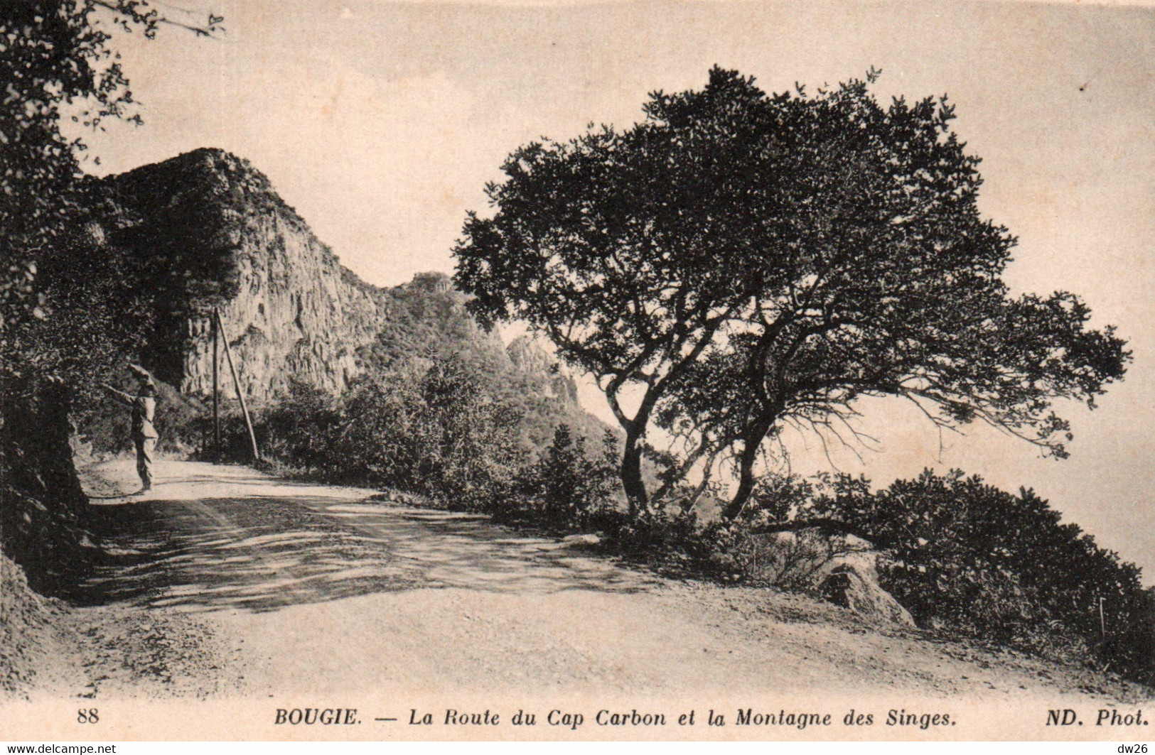 Bougie (Bejaia, Algérie) La Route Du Cap Carbon Et La Montagne Des Singes - Carte ND Phot. N° 88 - Bejaia (Bougie)