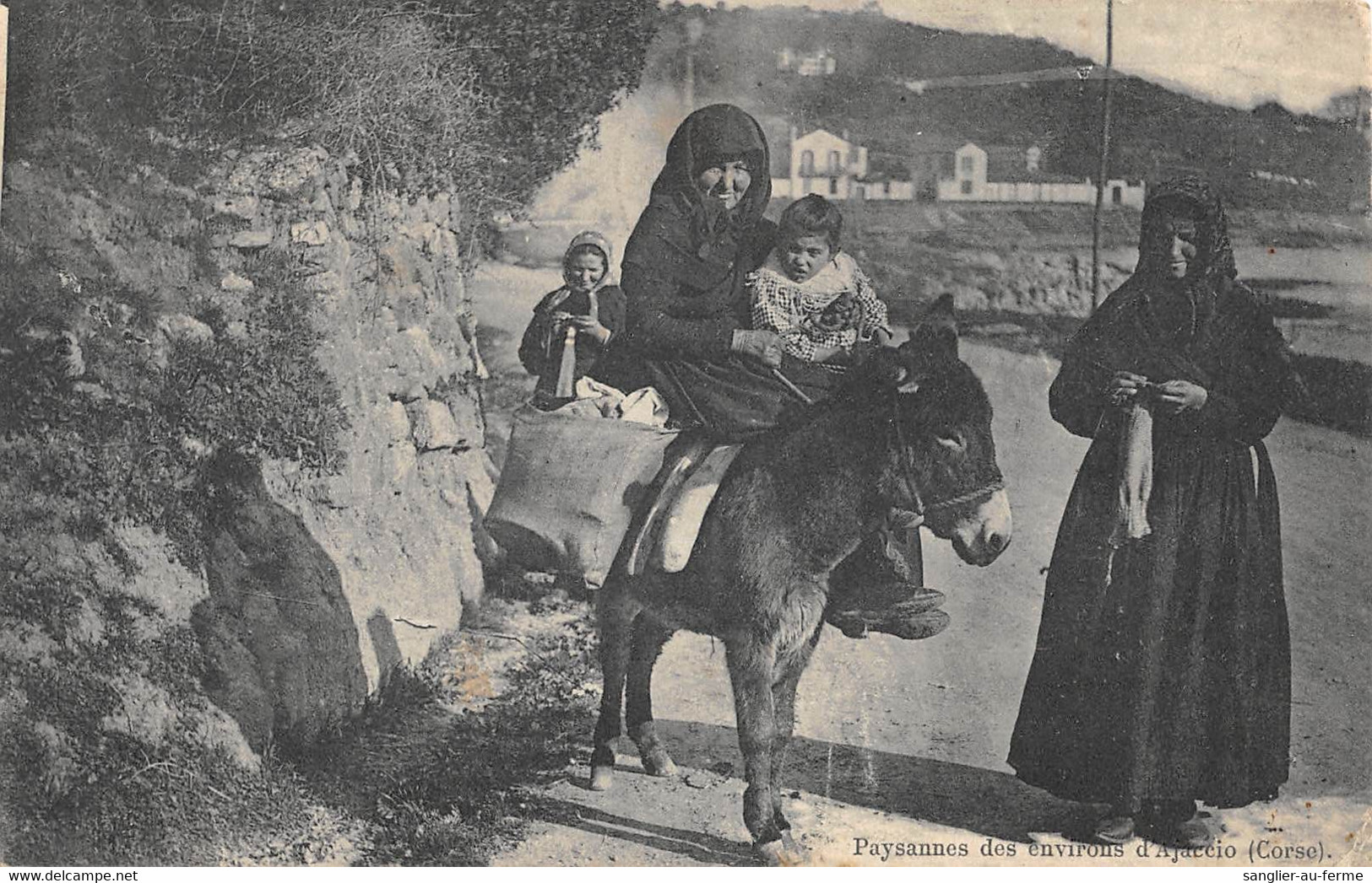 CPA 20 CORSE PAYSANNES DES ENVIRONS D'AJACCIO - Sonstige & Ohne Zuordnung