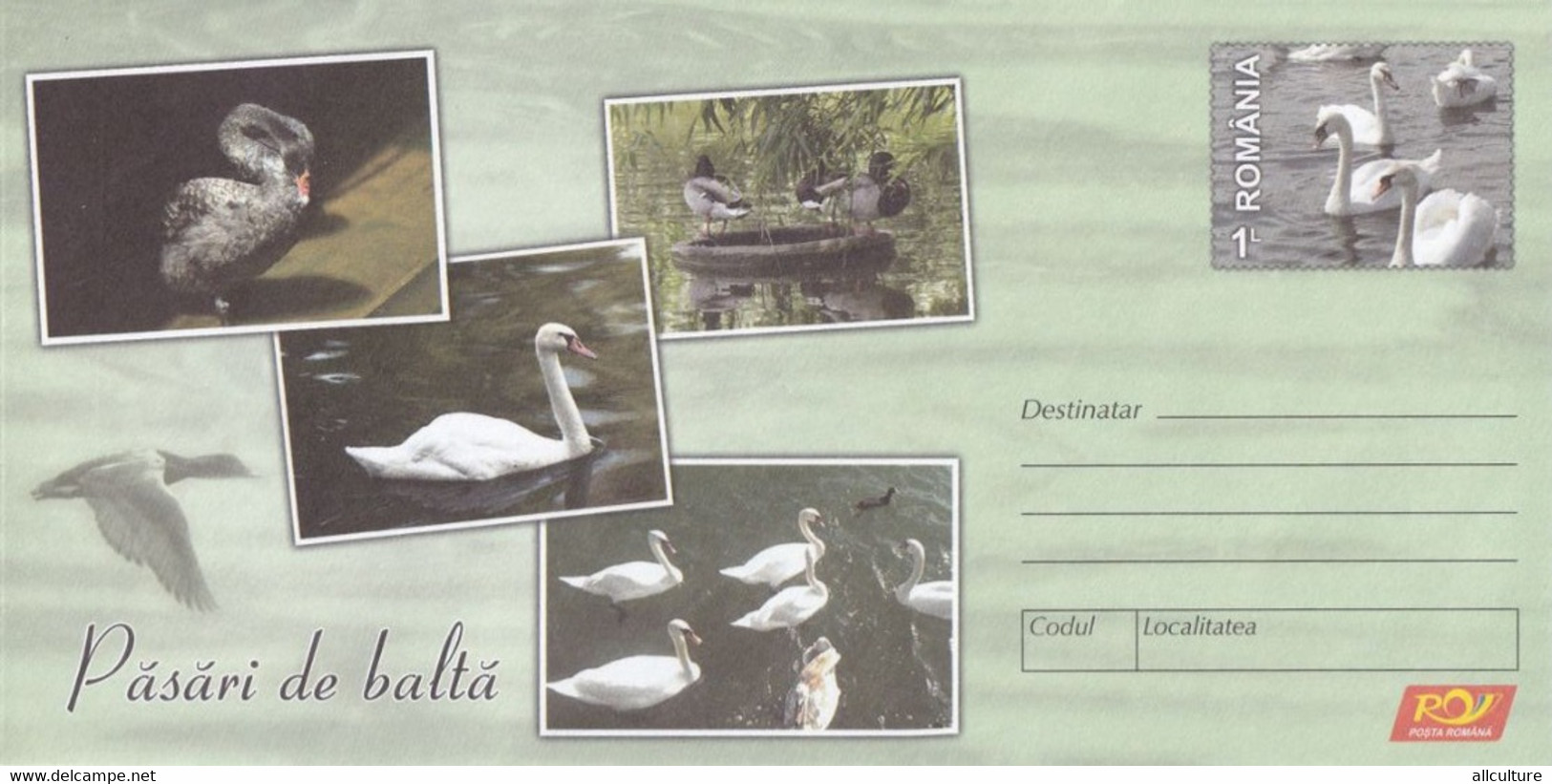 A8461- GEESE SWANS DUCKS - MARSH BIRDS, ROMANIAN COVER STATIONERY POSTAGE UNUSED - Geese