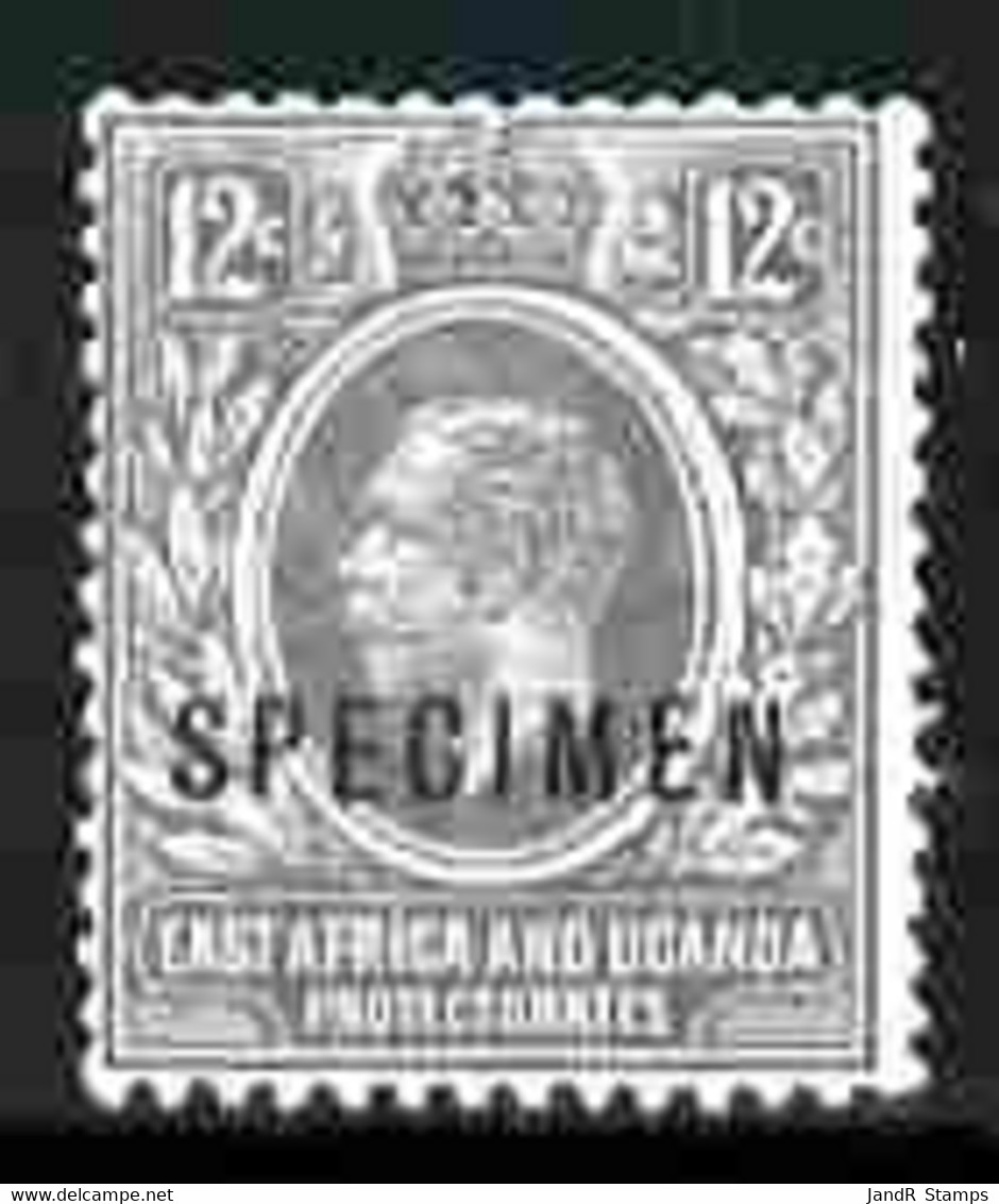 Kenya, Uganda & Tanganyika 1921-22 KG5 12c Script CA Overprinted SPECIMEN Fresh With Gum SG 69s (only About 400 Produced - Sonstige & Ohne Zuordnung