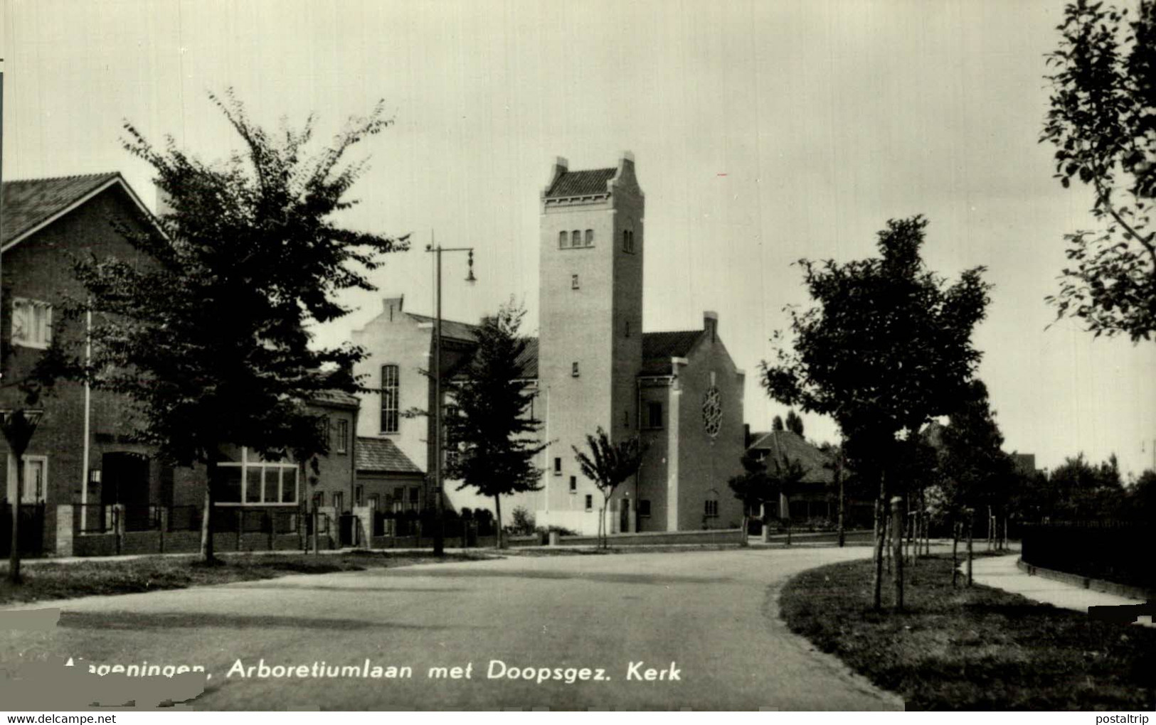 WAGENINGEN    ARBORETUMLAAN MET DOOPSGEZ KERK   GELDERLAND   HOLLAND HOLANDA NETHERLANDS - Wageningen