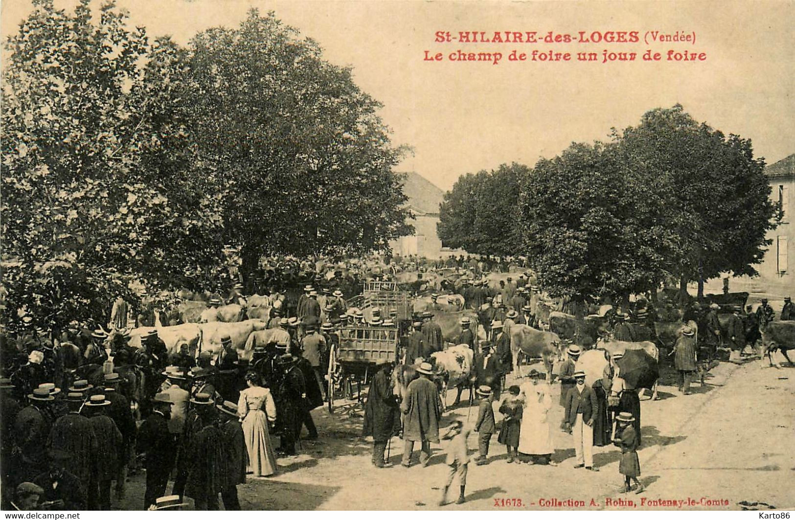 St Hilaire Des Loges * Le Champ De Foire Un Jour De Foire * Marché Aux Bestiaux * Marchands Boeufs - Saint Hilaire Des Loges