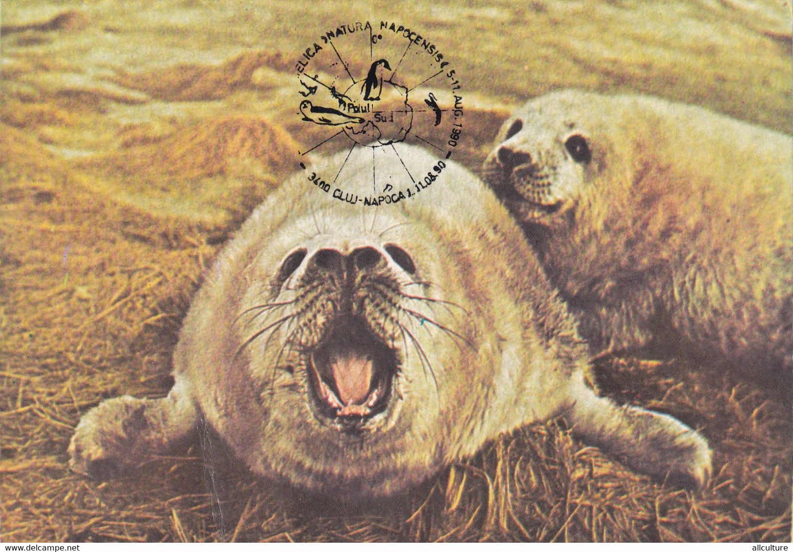 A9048- SEAL, SOUTH POLE EXHIBITION CLUJ NAPOCA 1990 ROMANIA  USED STAMP ON BACK - Antarktischen Tierwelt