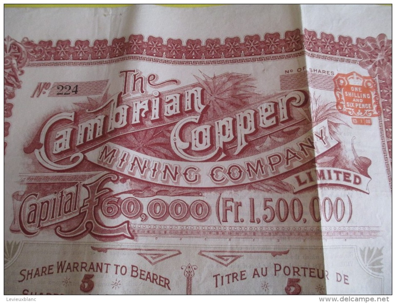 Titre Au Porteur De 5 Actions De 1 Livre Sterling/"The Cambrian Copper Mining Company /1901  ACT80sexto - Mines