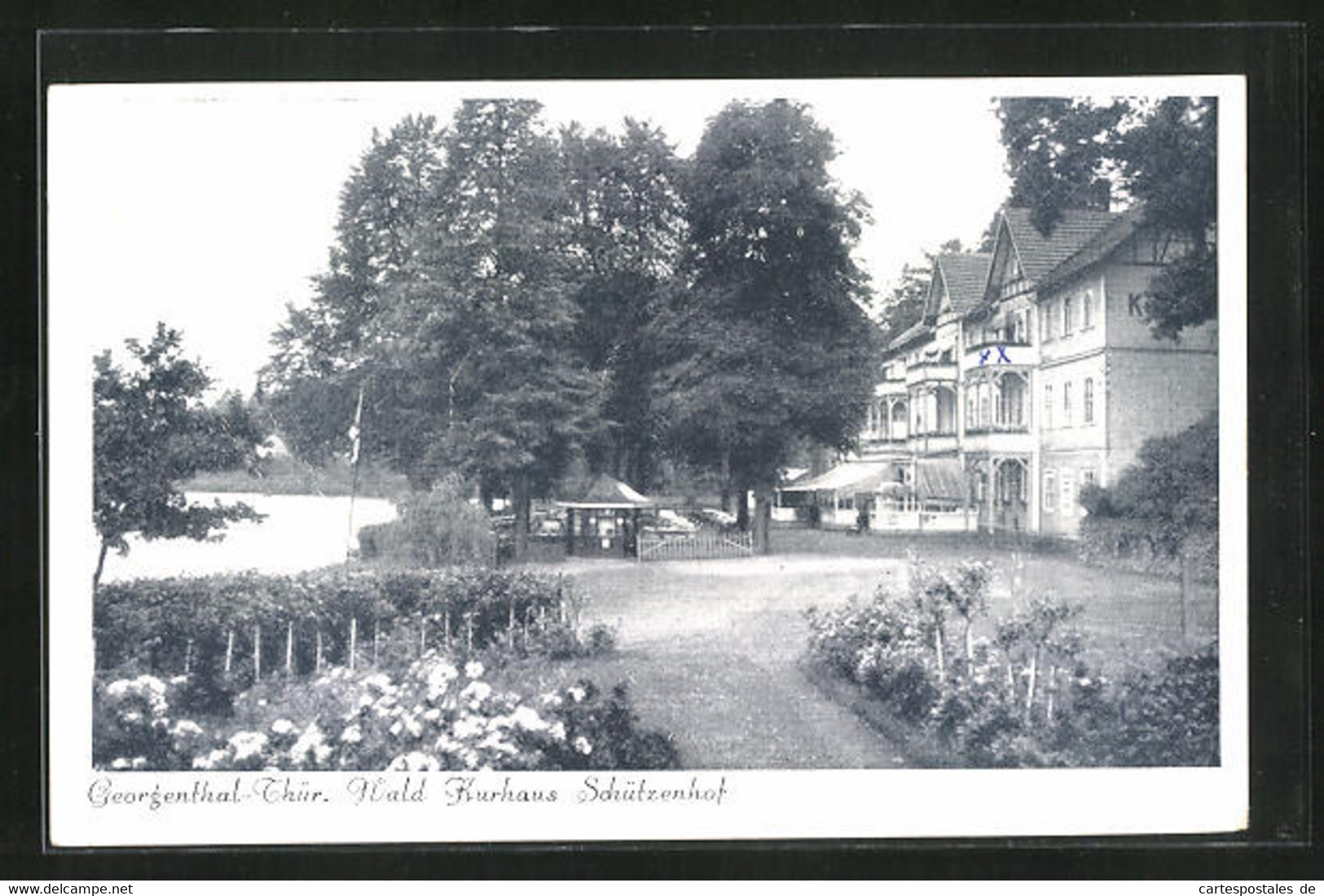 AK Georgenthal-Thür., Wald Kurhaus Schützenhof - Georgenthal