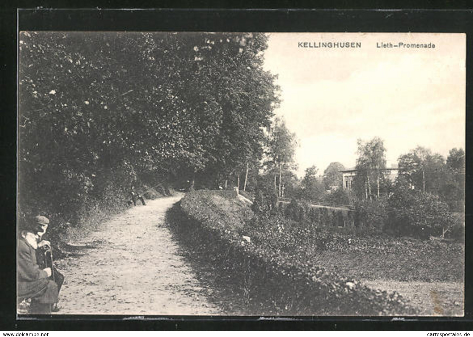 AK Kellinghusen, Blick Auf Die Lieth-Promenade - Kellinghusen