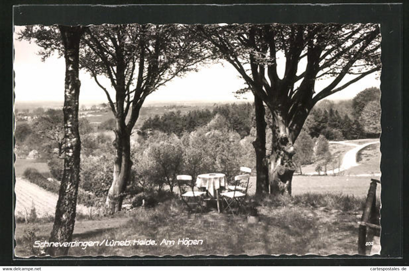 AK Schneverdingen /Lüneburger Heide, Am Höpen, Blick Ins Tal - Schneverdingen