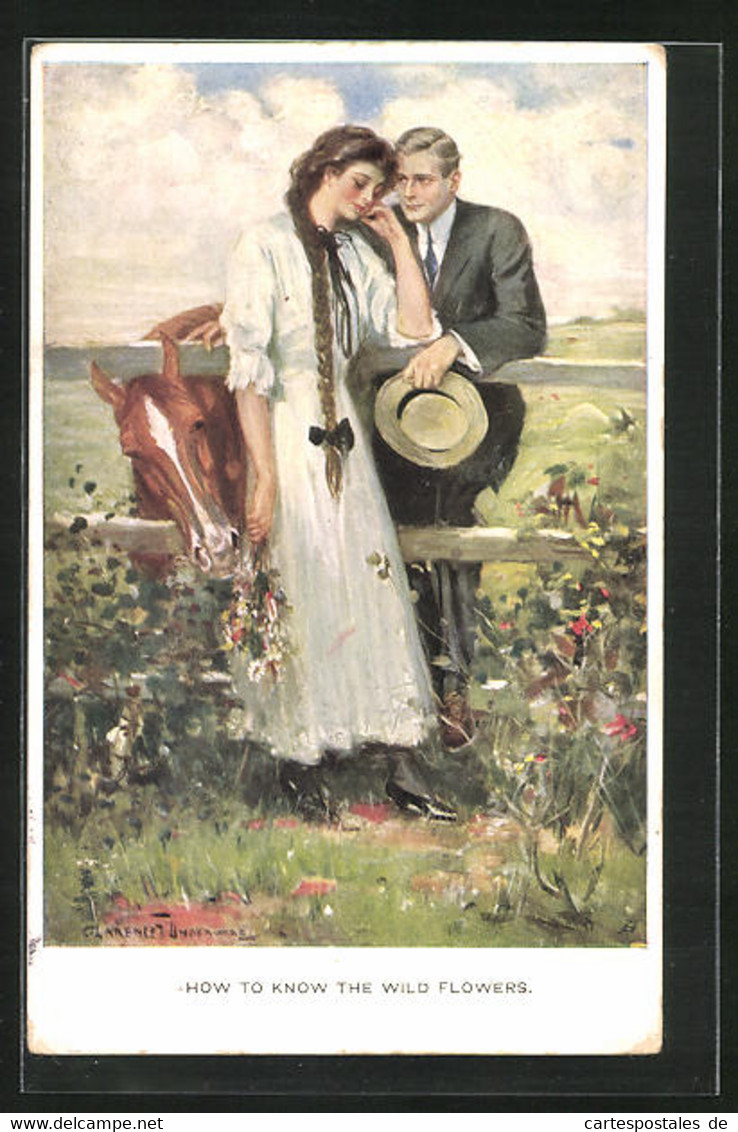 Künstler-AK Clarence F. Underwood: Liebespaar Beim Flirt Am Gartenzaun - Underwood, Clarence F.