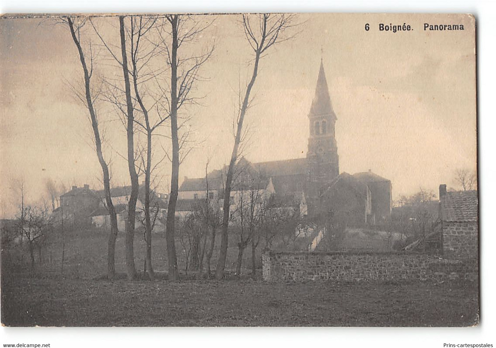 CPA Belgique Boignée Panorama - Sombreffe