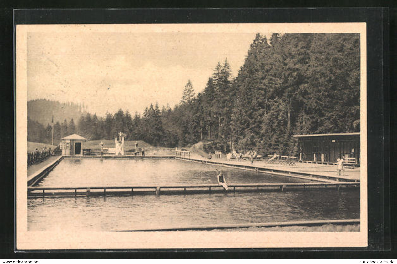 AK Wildemann /Harz, Luft-, Sonnen-, Wasserbad Und Winterplatz - Wildemann