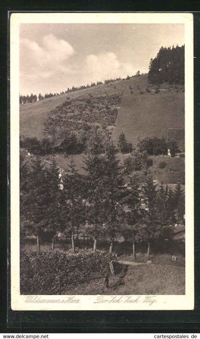 AK Wildemann /Harz, Der Zick-Zack-Weg - Wildemann