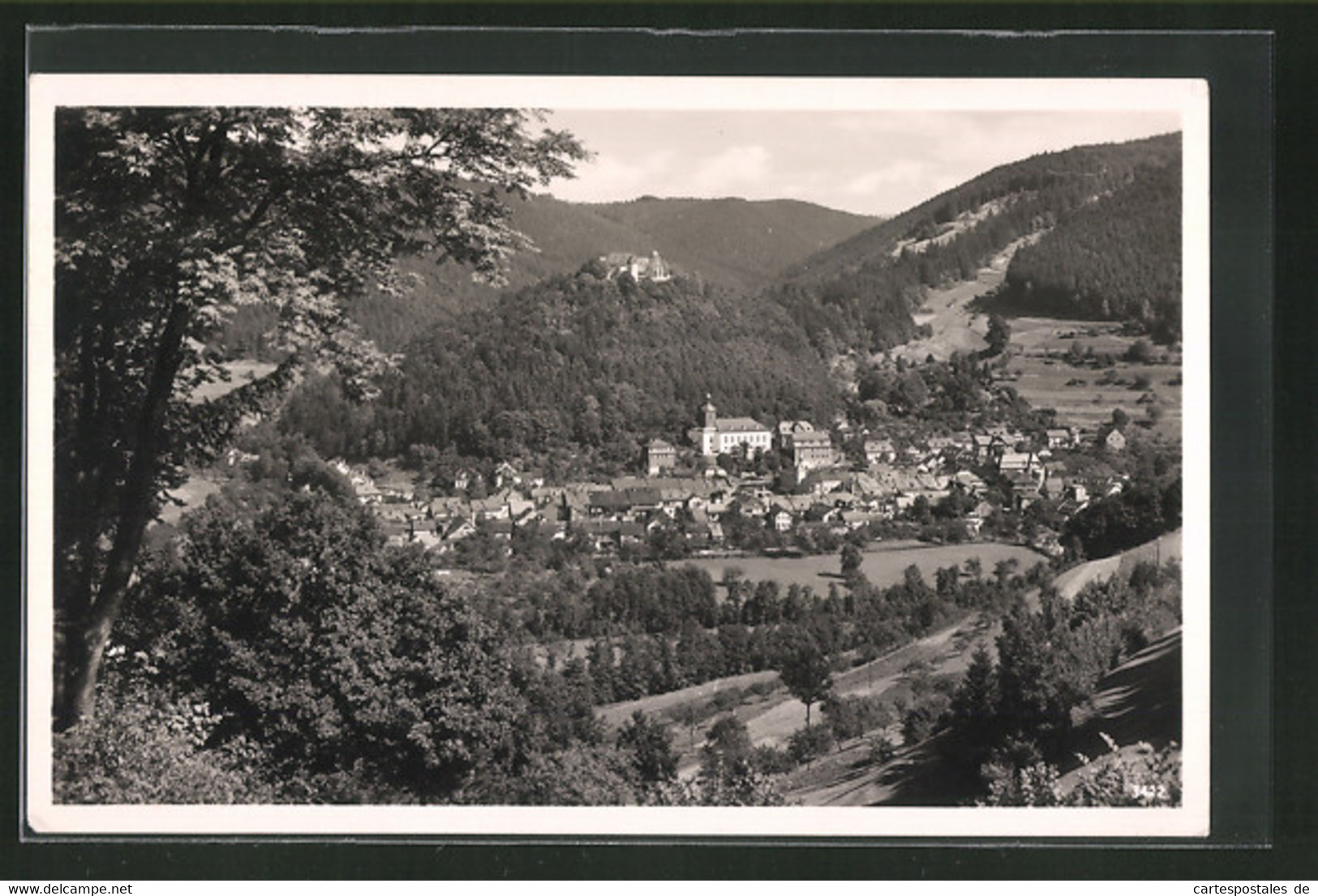 AK Leutenberg /Thür., Totalansicht Aus Der Vogelschau - Leutenberg