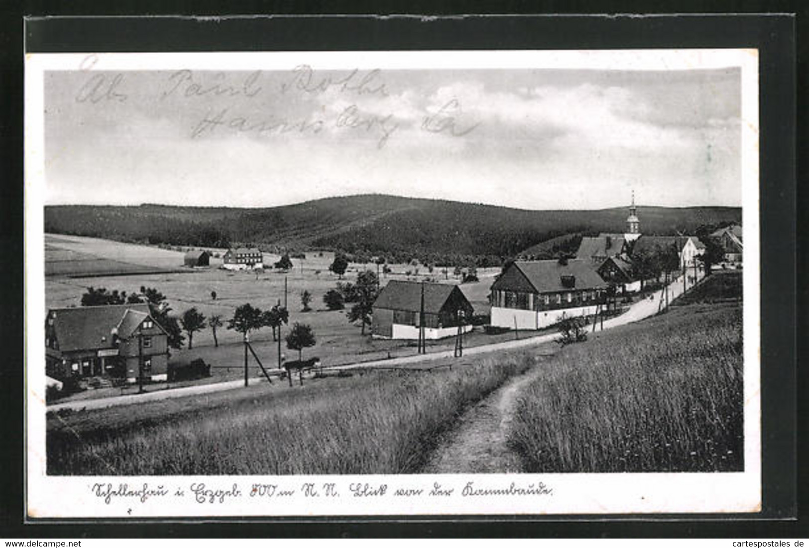 AK Schellerhau, Blick Von Der Kammbaude - Schellerhau