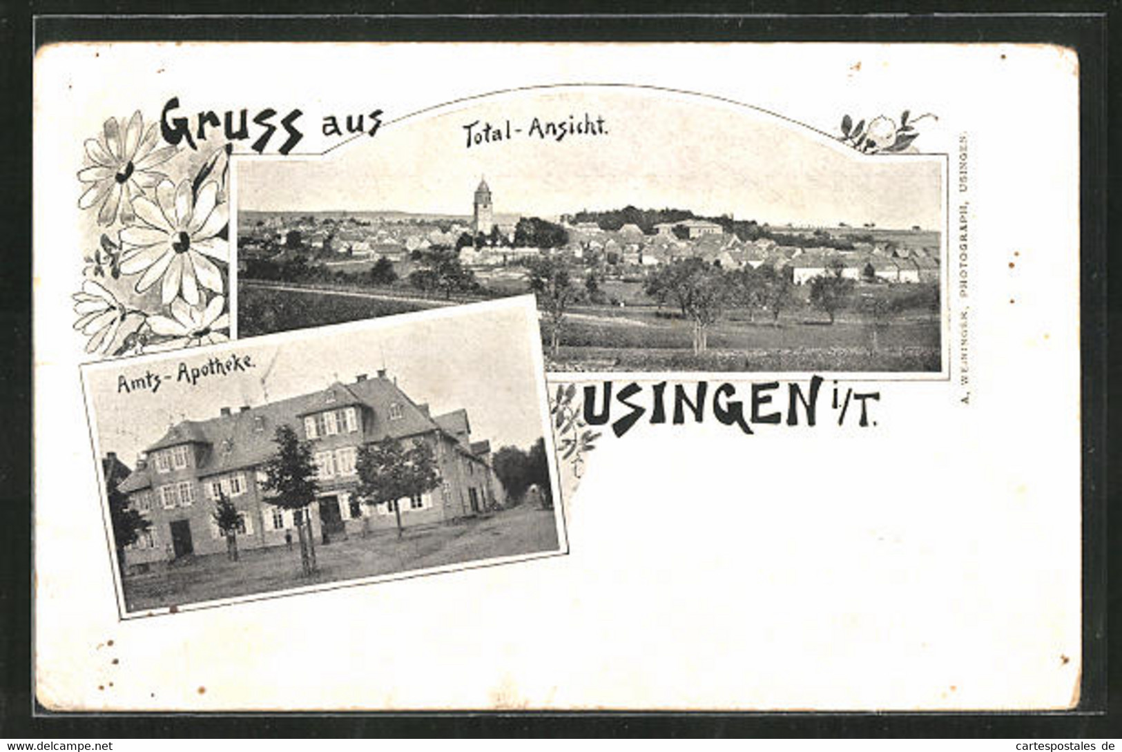 AK Usingen / Taunus, Amts-Apotheke, Totalansicht Vom Ort - Usingen