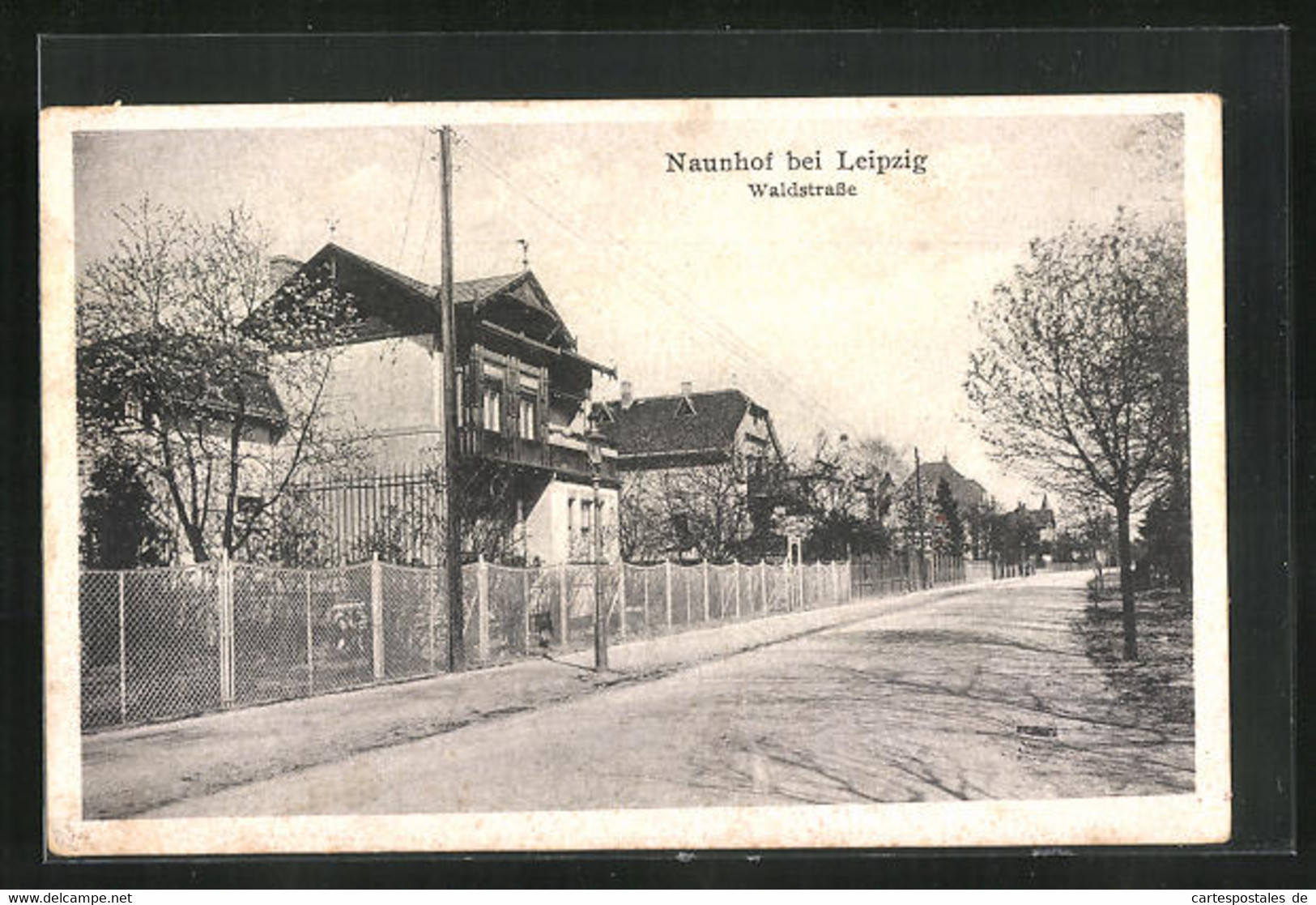 AK Naunhof /Leipzig, Waldstrasse - Naunhof