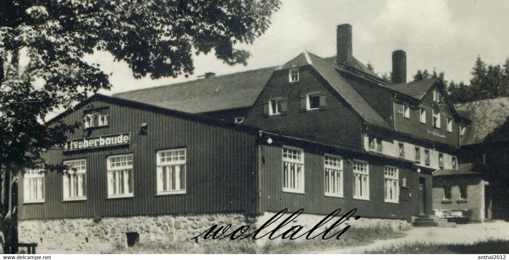 Rarität MB Holzhau Ertgebirge FDGB-Heim Fortschritt - Fischerbaude - Wohnhäuser 20.9.1960 VEB Bild Und Heimat - Holzhau