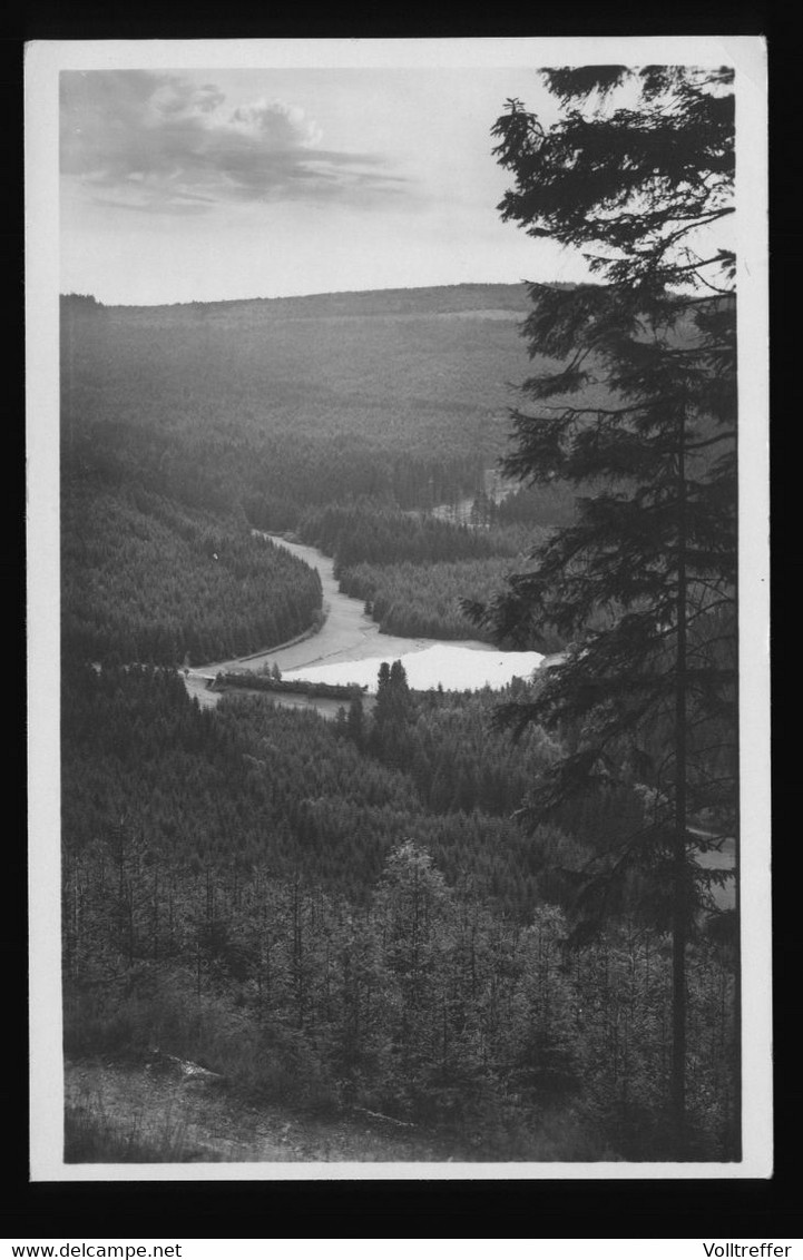 AK Um 1920 Erlbach Im Vogtland, Flossteich Im Landesgemeindetal Nr. 2 - Erlbach-Kirchberg