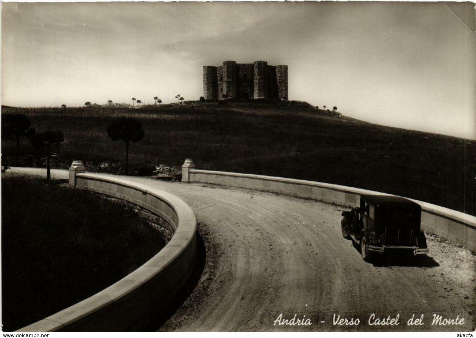 CPA AK ANDRIA Verso Castel Del Monte ITALY (531771) - Andria