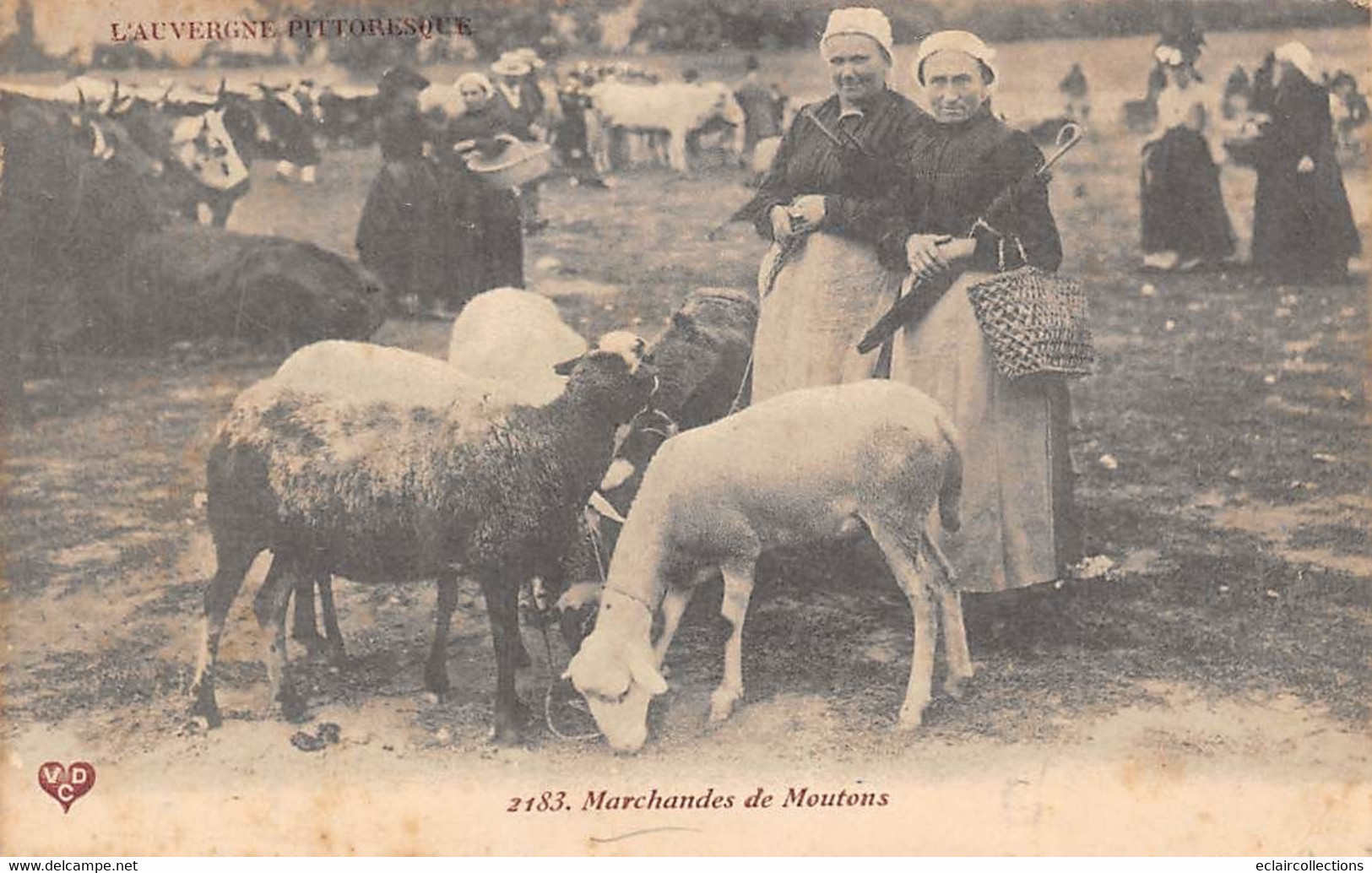 Divers Auvergne        63        Marchandes De Moutons    VDC 2183  (voir Scan) - Auvergne Types D'Auvergne