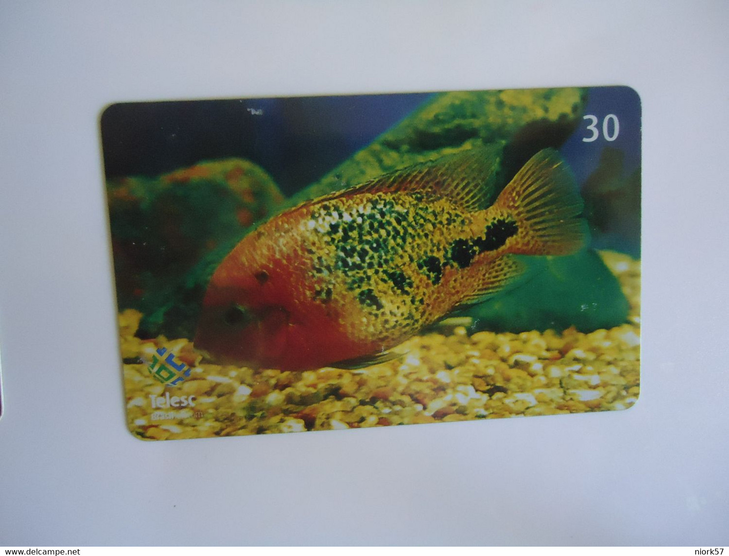 BRAZIL USED CARDS FISH FISHES MARINE LIFE - Poissons