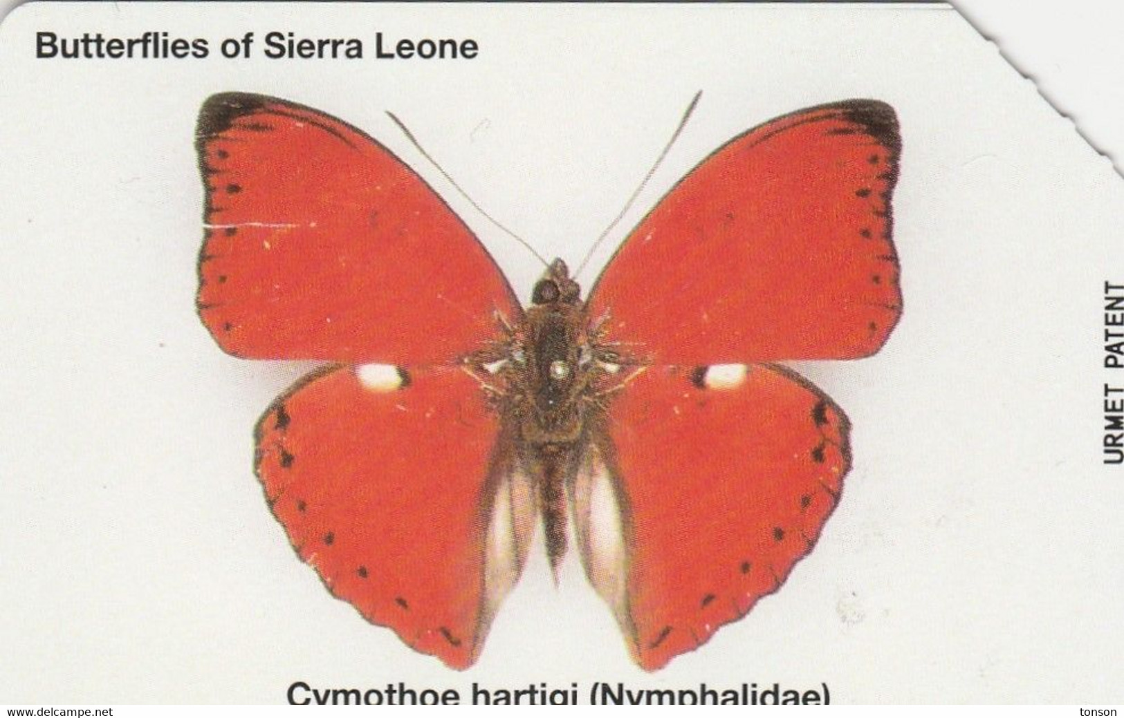 Sierra Leone, SRL-10, Cymothoe Hartigi, Butterfly, 2 Scans. - Papillons