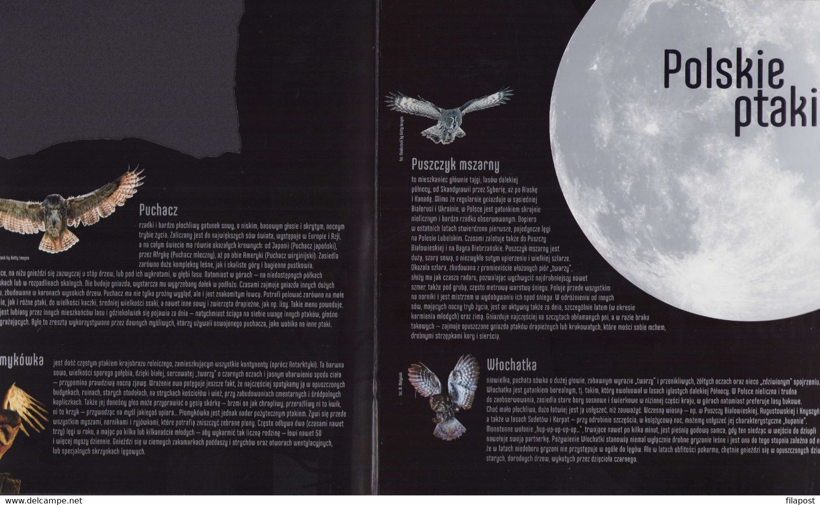 2015 Poland Booklet / Polish Birds Eagle - Owl Boreal Owl Barn Owl Great Grey Owls, Animals / 2 FDC + Full Sheet MNH** - Libretti