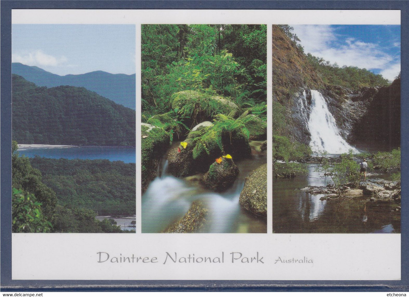 Daintree National Park Australia, Cowie Point, Forêt Tropicale, Chutes De Bloomfield Carte Postale Neuve - Far North Queensland