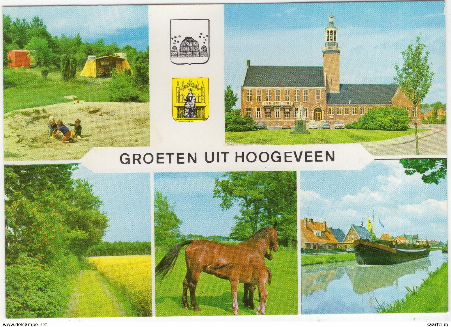 Groeten Uit Hoogeveen - Stadhuis, Camping, Binnenvaartschip, Paard, Veulen  - (Drenthe) - Hoogeveen