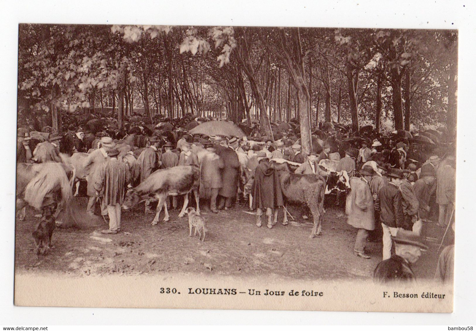 LOUHANS (SAONE & LOIRE) * JOUR DE FOIRE * éditeur F. Besson * VACHES * AGRICULTEURS * Carte N° 330 - Fairs