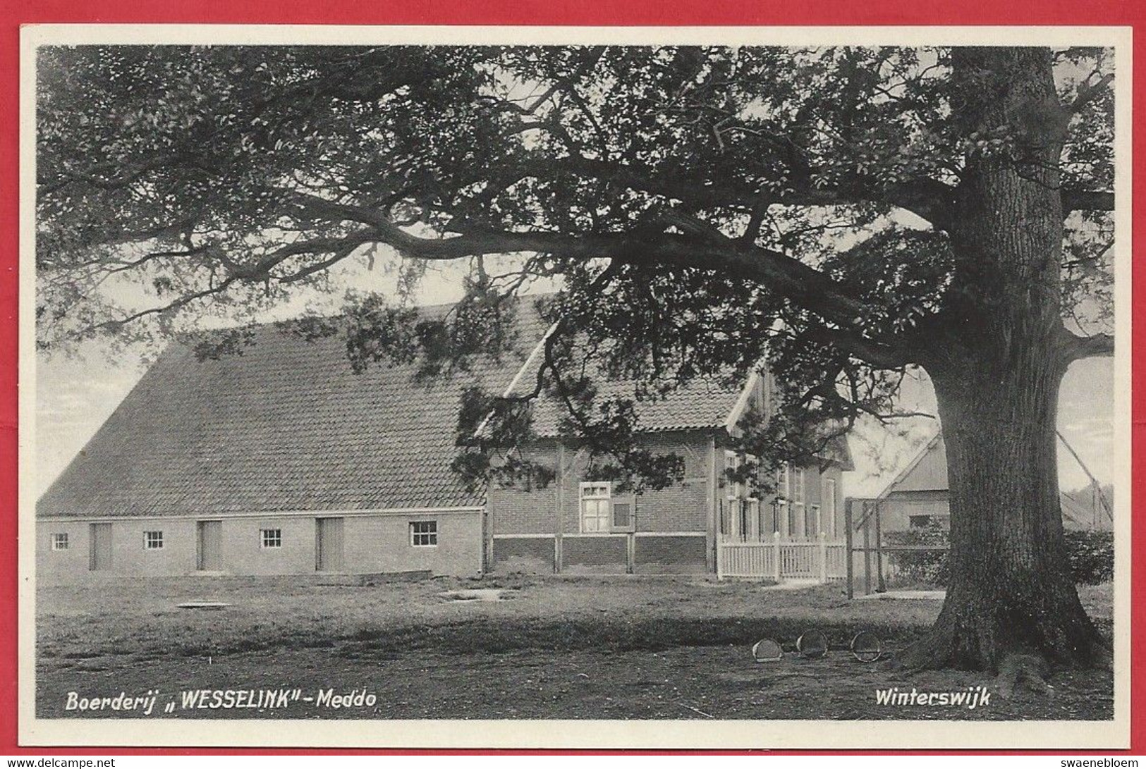 NL.- Winterswijk, Boerderij - WESSELINK -. MEDDO. Uitg. Boekhandel G.J. Albrecht, Foto J.H. Te Hofstee - Winterswijk