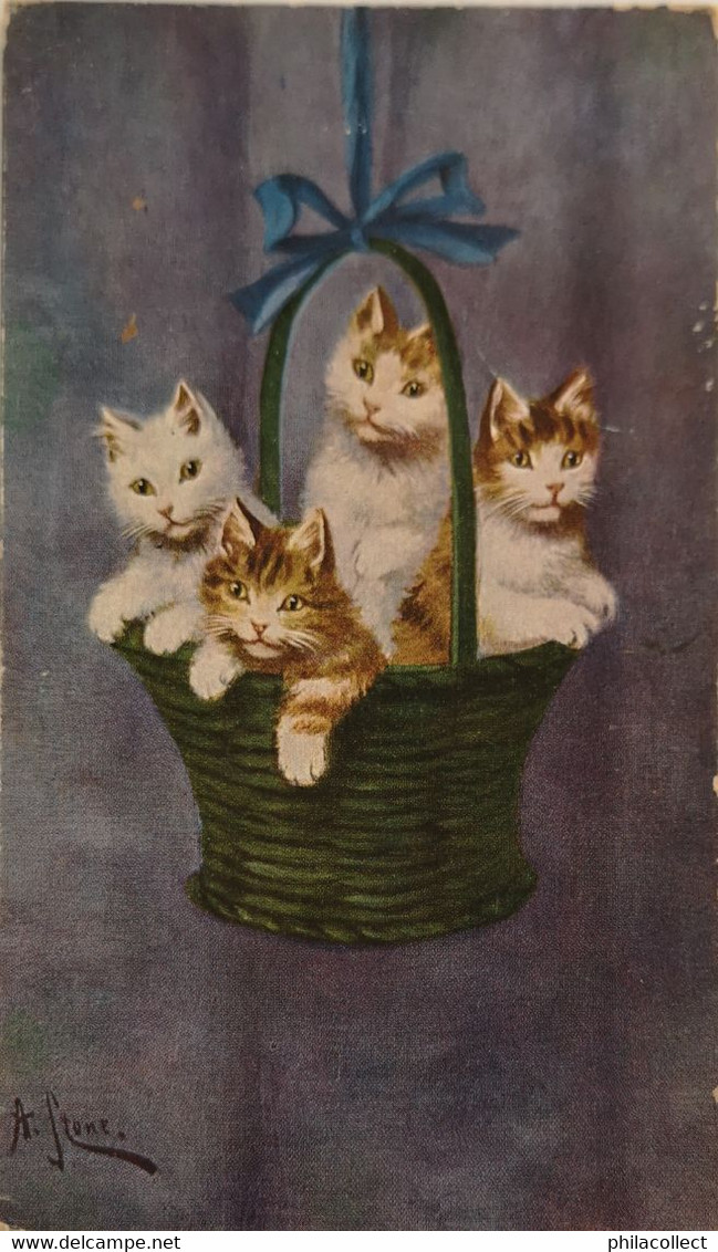 Cats - Katze // Cats In Basket By A. Stone 19?? - Chats