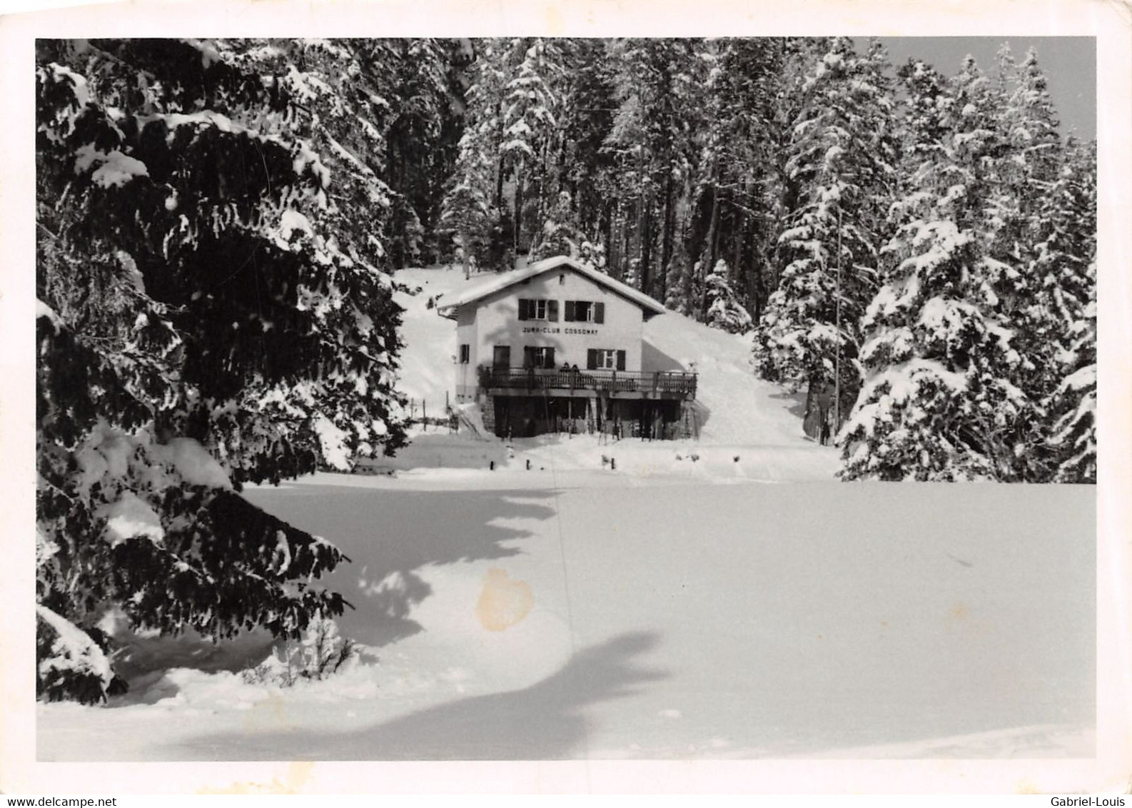 Carte-Photo : Chalet Jura Club Cossonay - Sceau Vallée De Joux L'Abbaye (10 X 15 Cm) - Cossonay