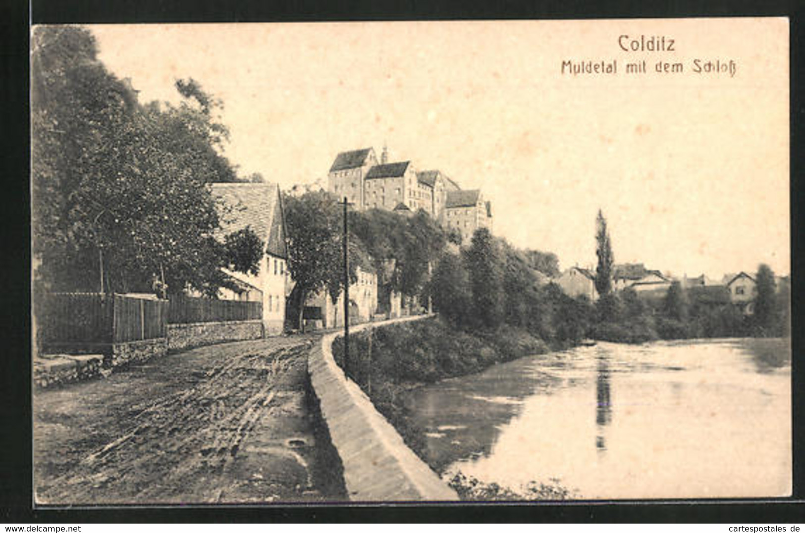 AK Colditz, Partie Am Muldetal Mit Dem Schloss - Colditz